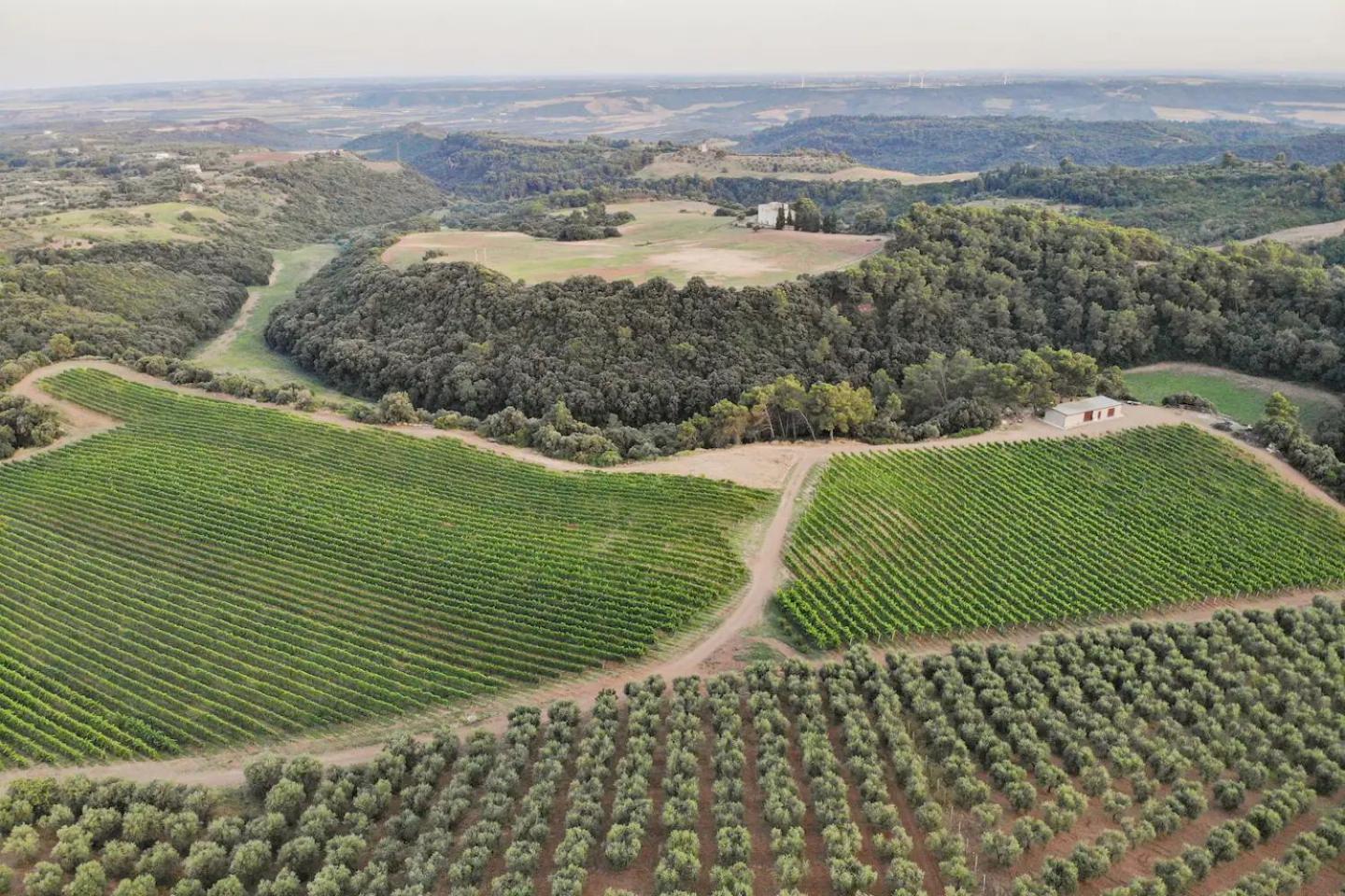 La Volpe E L'Uva Dimore Montescaglioso Luaran gambar